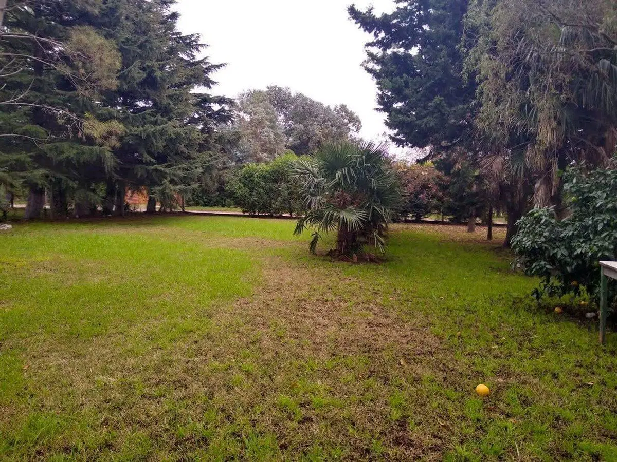 Venta Casa 3 amb. con parque de 3.000 m² y quincho 3