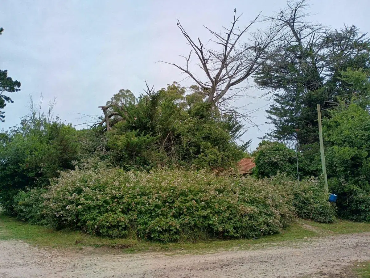 VENTA 2 LOTES EN BOSQUE PERALTA RAMOS 4