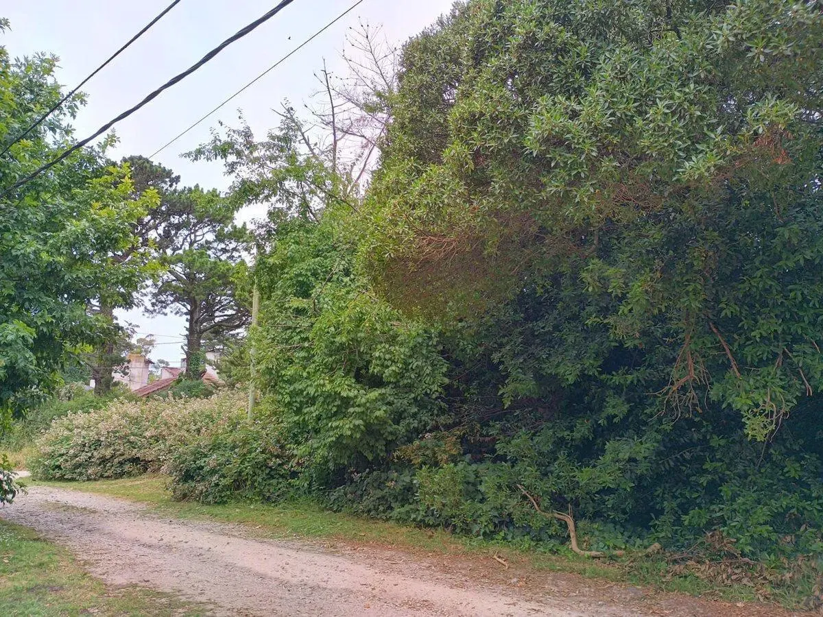 VENTA 2 LOTES EN BOSQUE PERALTA RAMOS 3