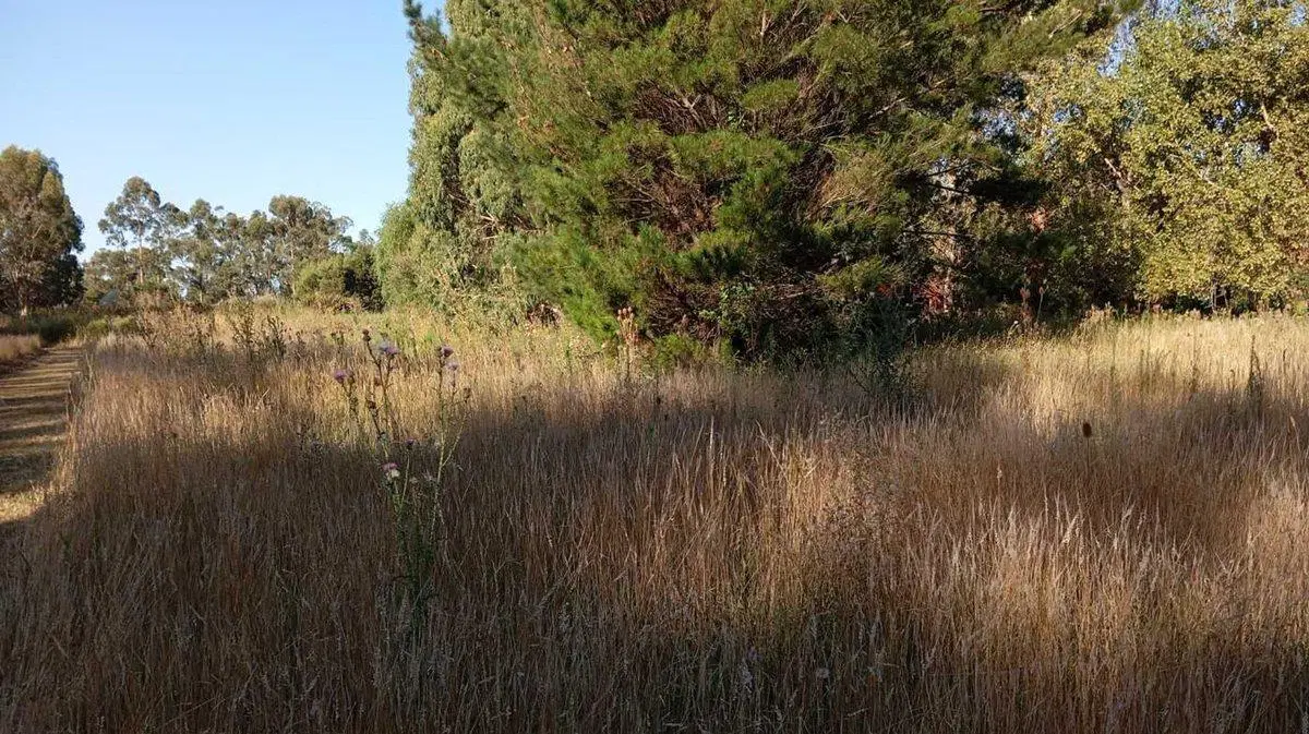 VENTA IMPORTANTE FRACCIÓN DE TERRENO EN MIRAMAR 3
