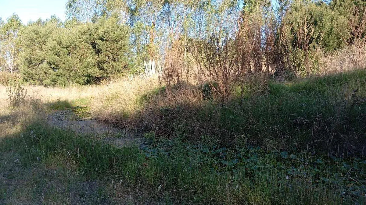 VENTA IMPORTANTE FRACCIÓN DE TERRENO EN MIRAMAR 5
