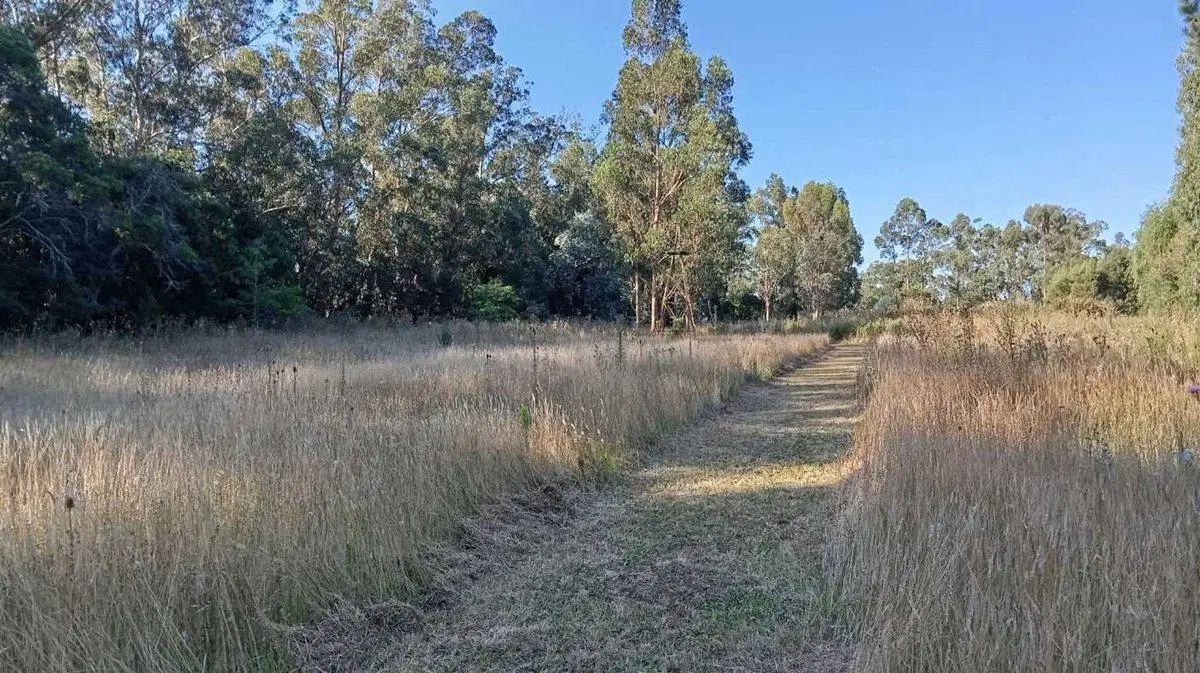 VENTA IMPORTANTE FRACCIÓN DE TERRENO EN MIRAMAR 8