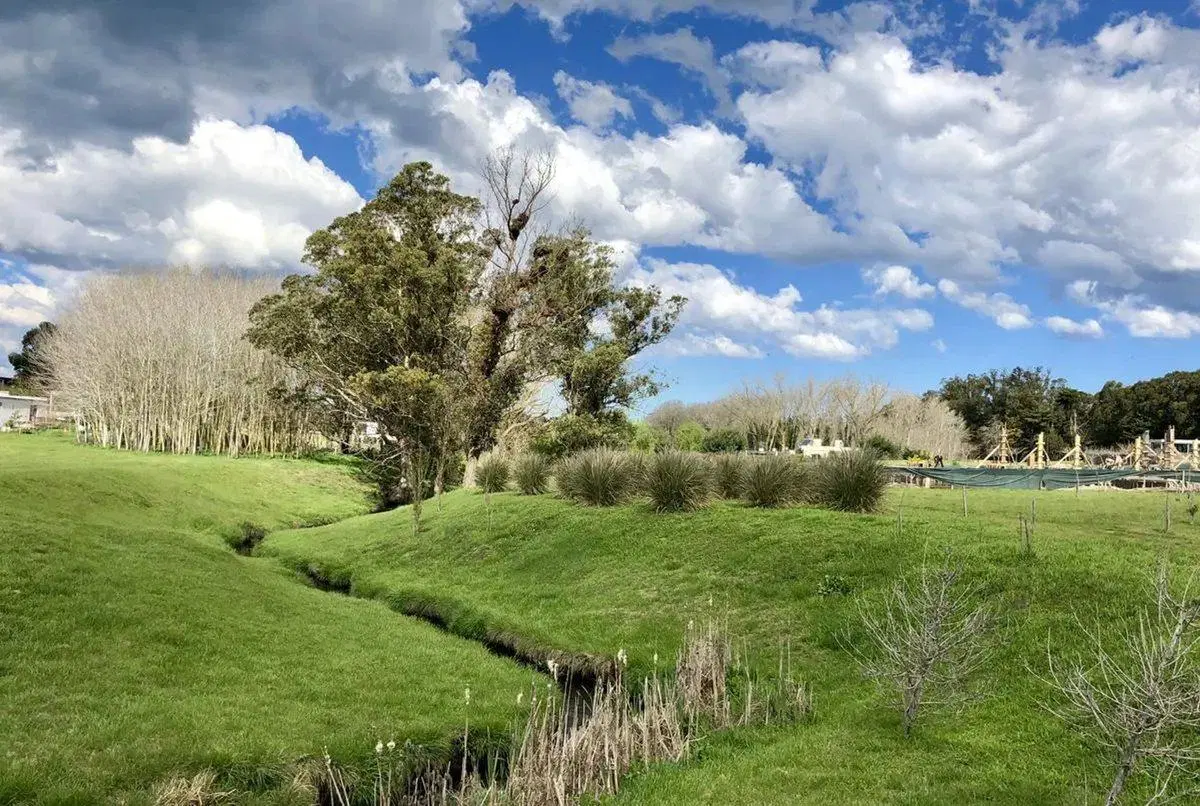VENTA LOTE BARRIO PRIVADO BARRANCAS DE SAN BENITO 8
