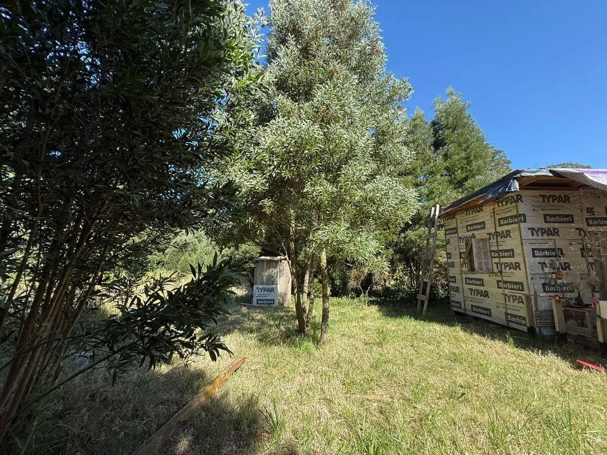 Venta Lote aprox800m2Barrio Parque Peña,Cedro Azul 5