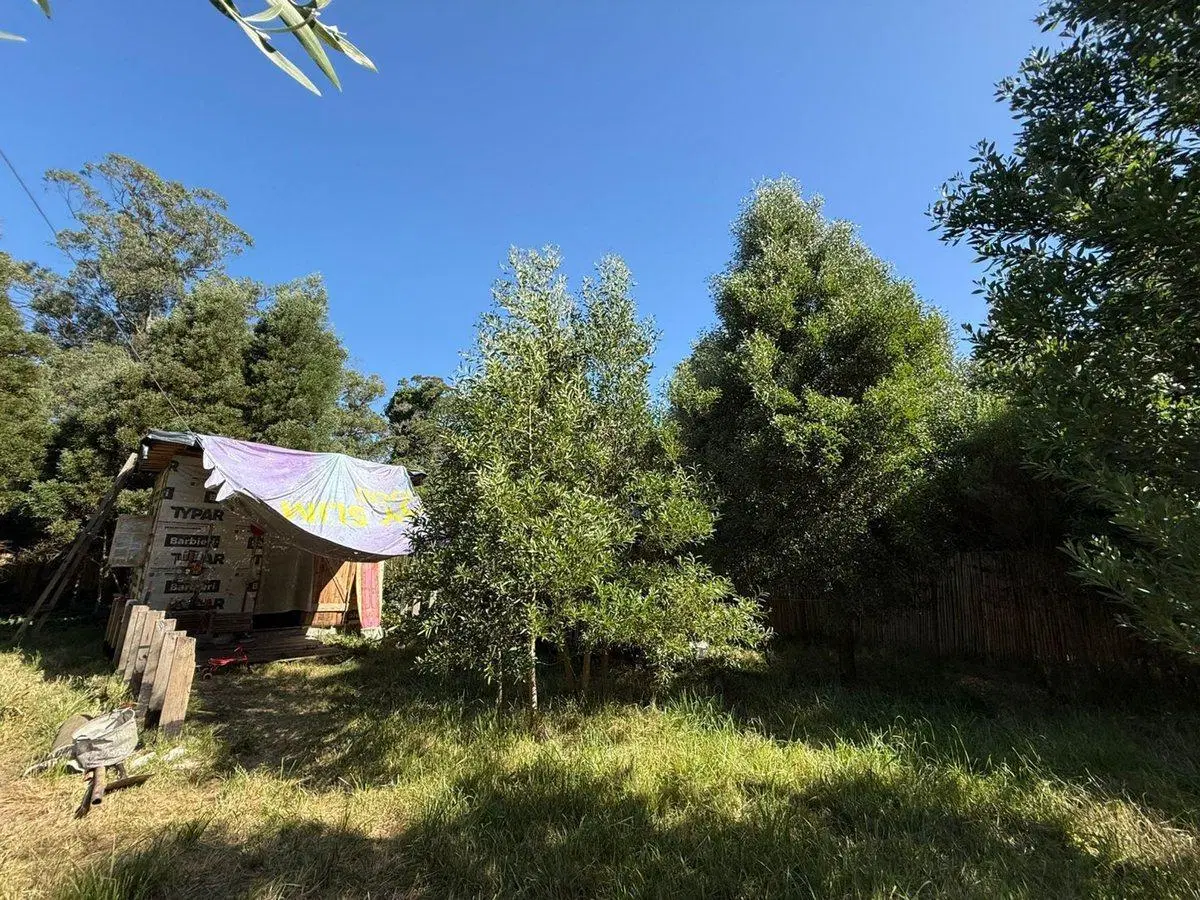 Venta Lote aprox800m2Barrio Parque Peña,Cedro Azul 8