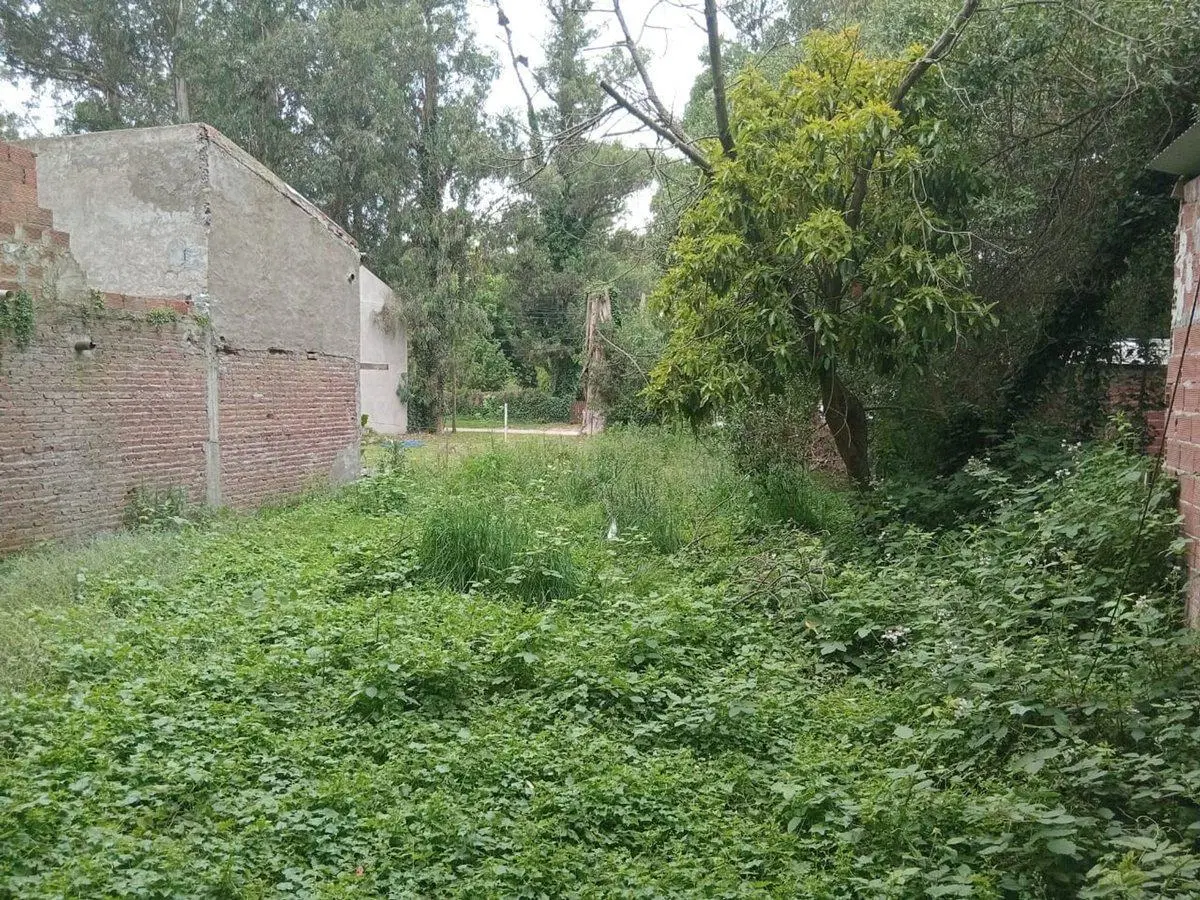 VENTA LOTE LAS DALIAS 426 M2 2