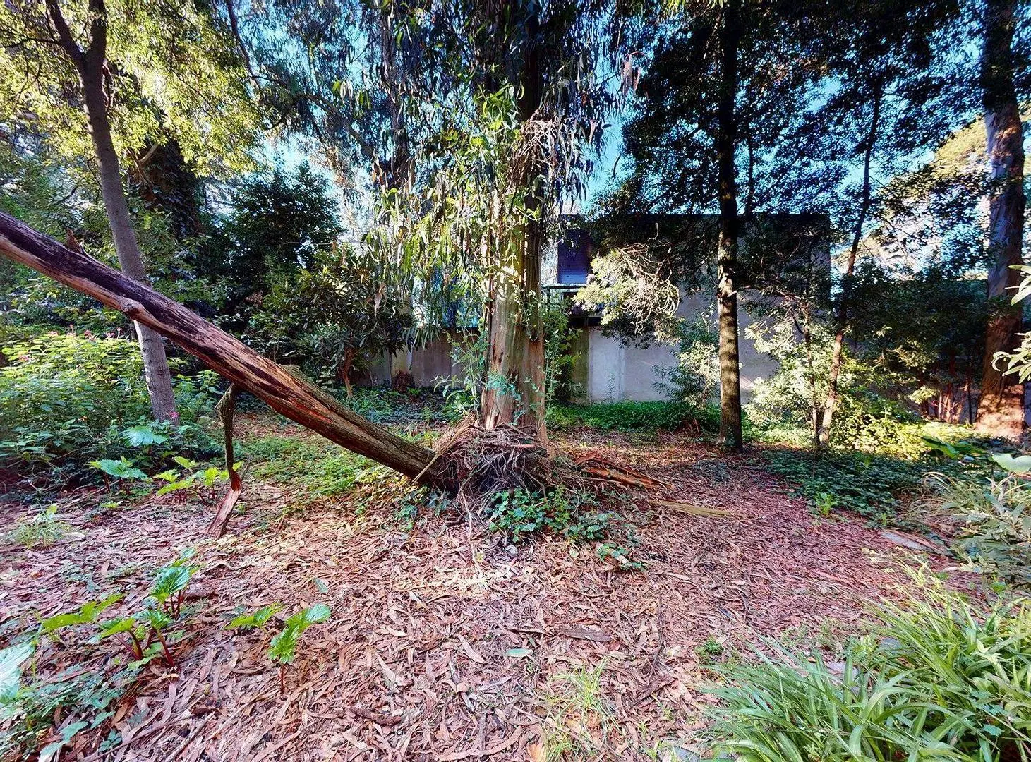 VENTA DOS lotes en Bosque Peralta Ramos y casa 5