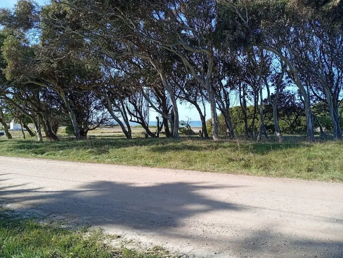 VENTA LOTE 605M FRENTE AL MAR PLAYA LOS LOBOS 2