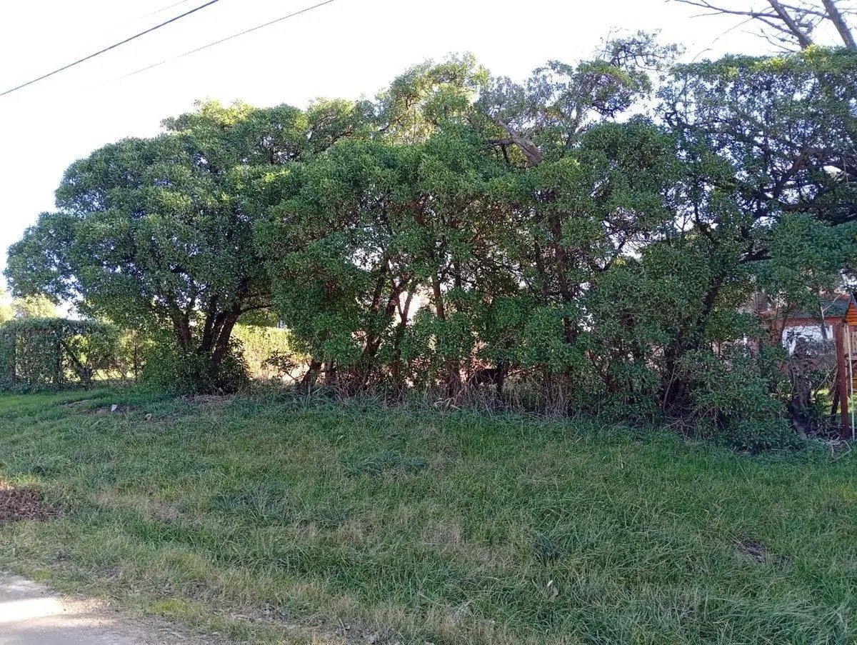 VENTA LOTE 605M FRENTE AL MAR PLAYA LOS LOBOS 5