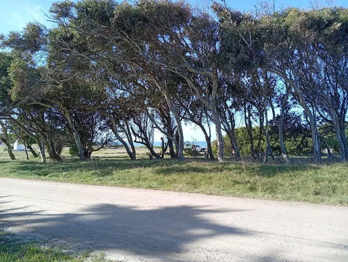 VENTA LOTE 605M FRENTE AL MAR PLAYA LOS LOBOS 6