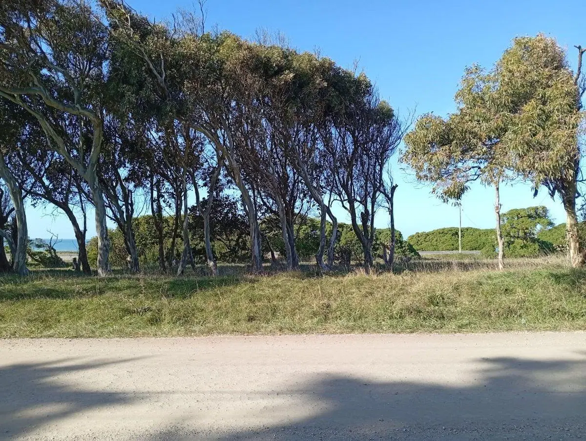 VENTA LOTE 605M FRENTE AL MAR PLAYA LOS LOBOS 3