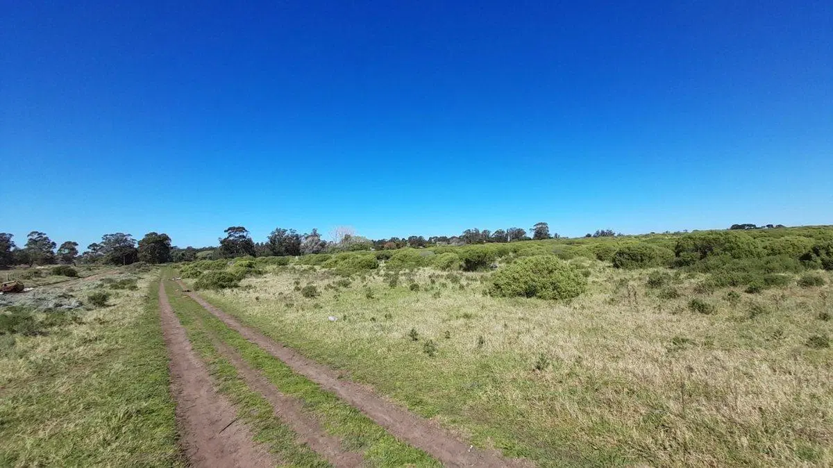 VENTA LOTE 23.000m2 ZONA SUR MAR DEL PLATA 8
