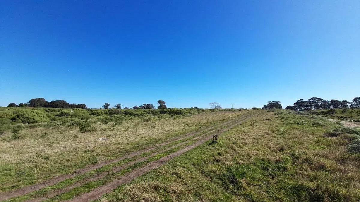 VENTA LOTE 23.000m2 ZONA SUR MAR DEL PLATA 5