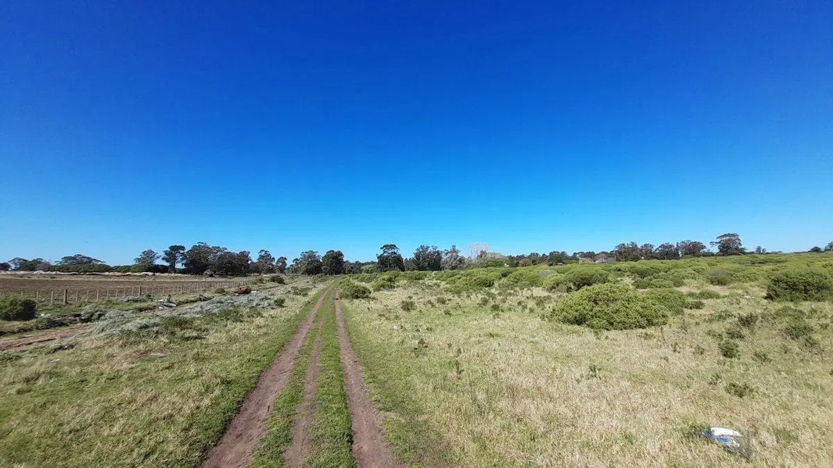 VENTA LOTE 45.000m2 ZONA SUR MAR DEL PLATA 8