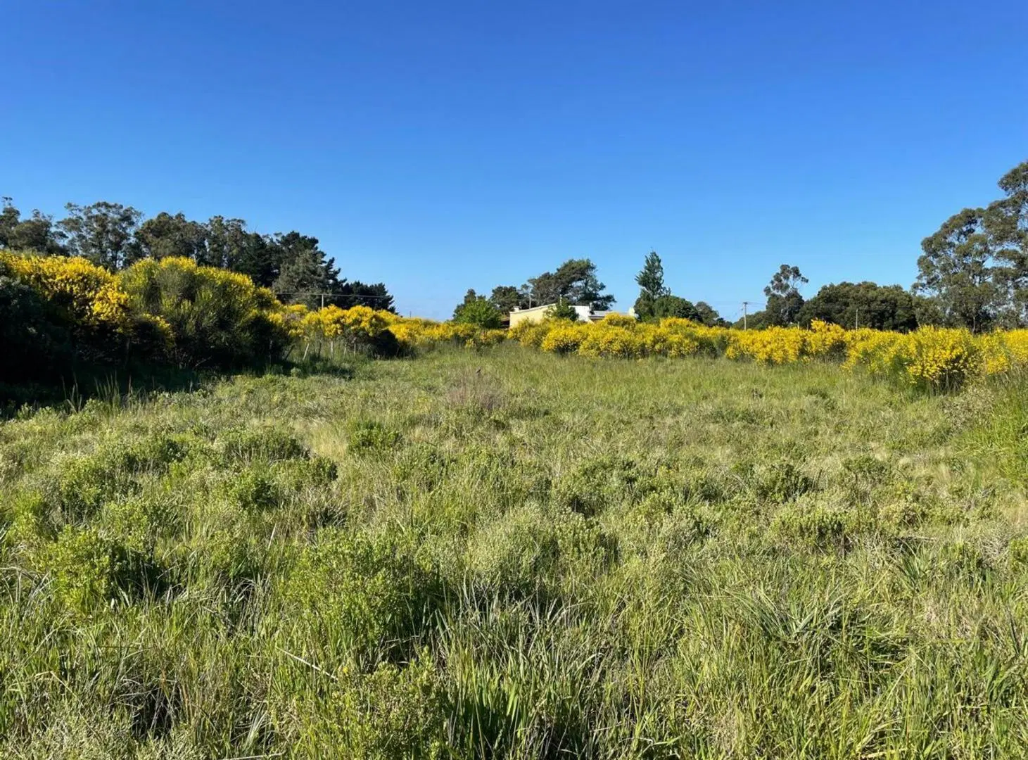 Lote de 600m2 en venta, Mar del Sud 5