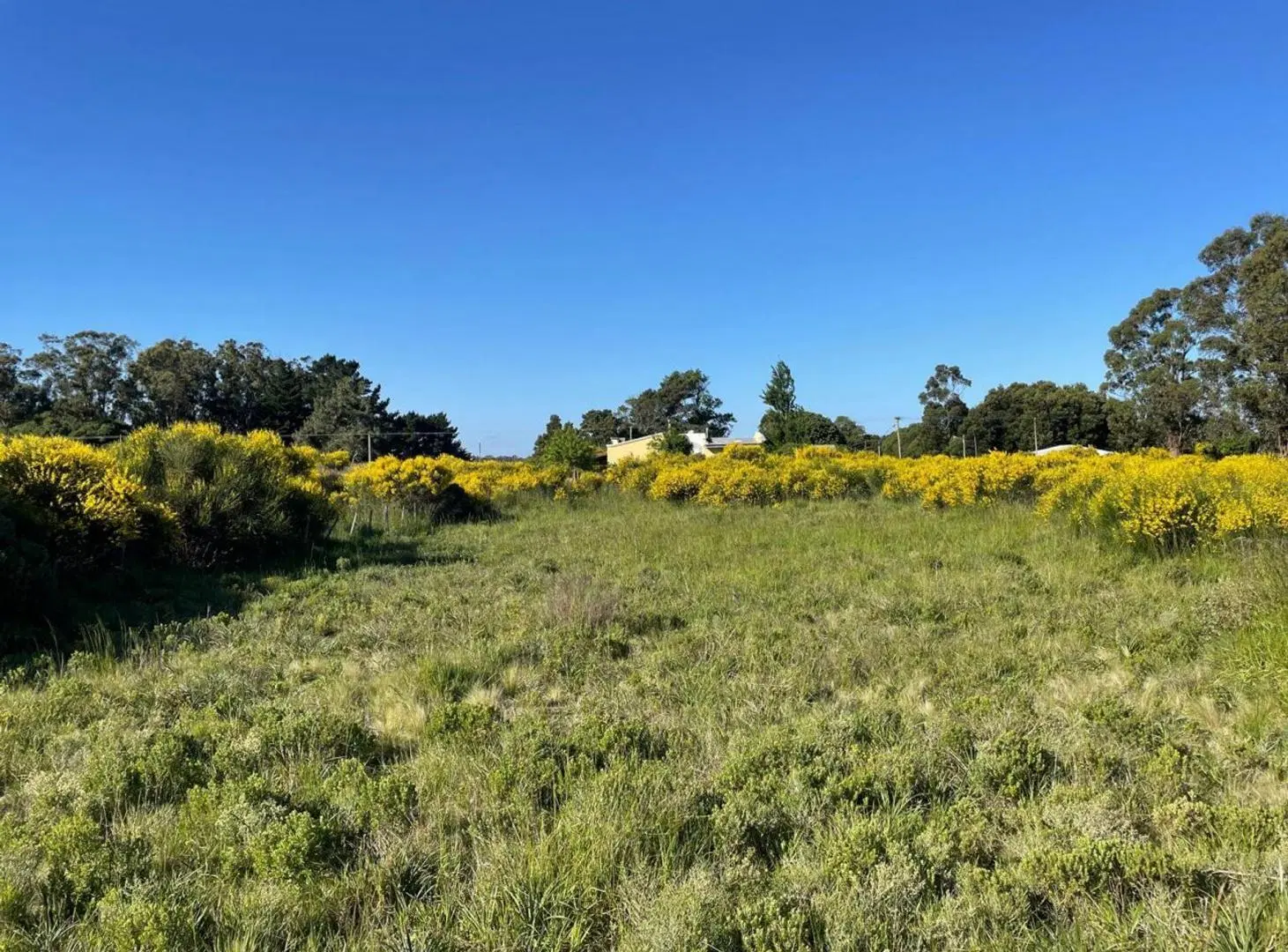 Lote de 600m2 en venta, Mar del Sud 4