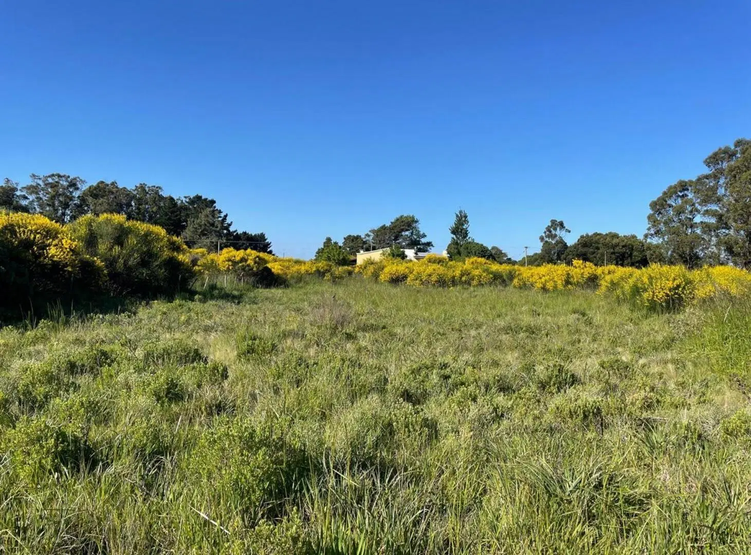 Lote de 600m2 en venta, Mar del Sud 3
