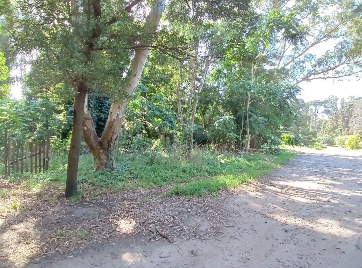 VENTA LOTE 450 M2 BOSQUE PERALTA RAMOS 8
