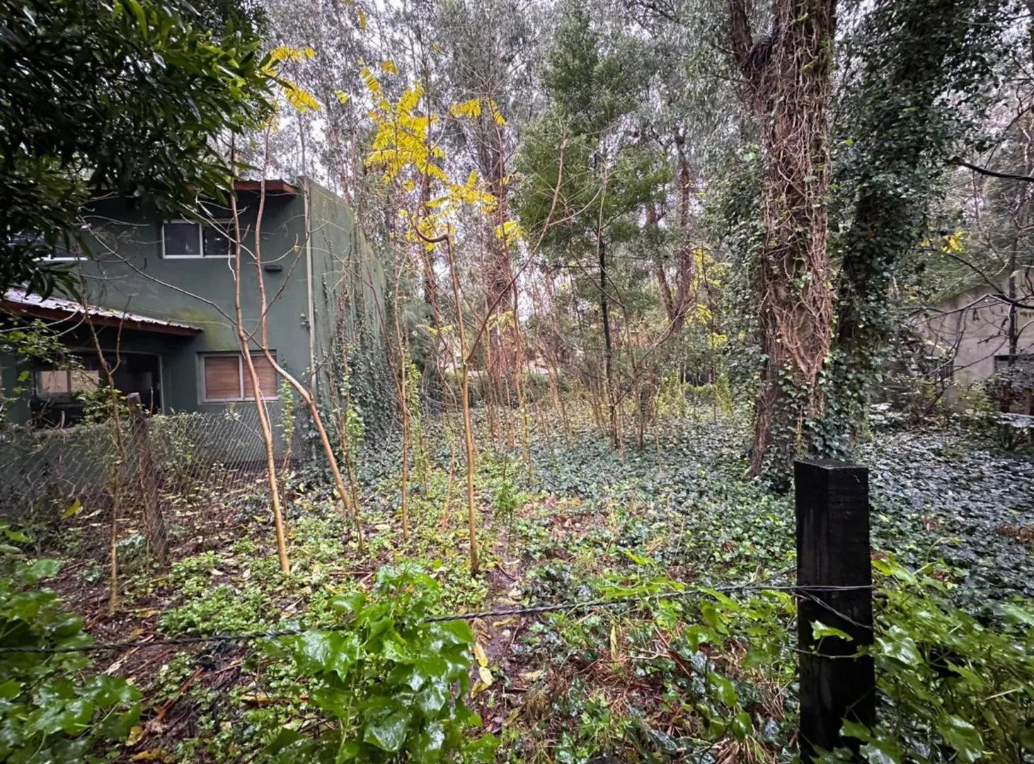 VENTA LOTE 450 M2 BOSQUE PERALTA RAMOS 3