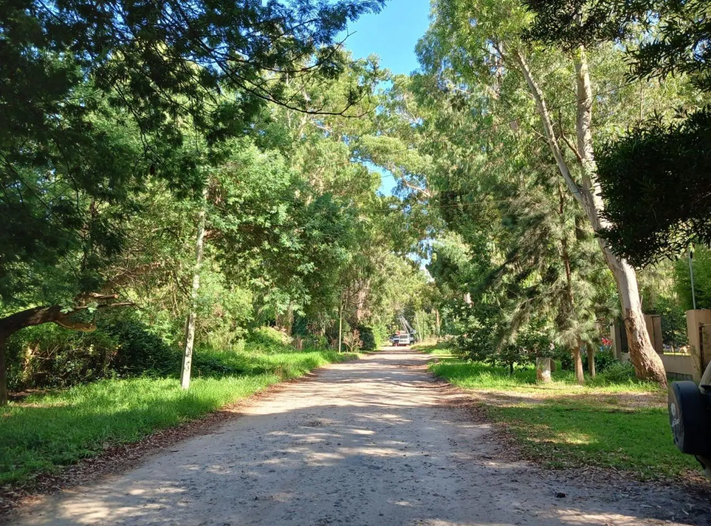 VENTA LOTE 450 M2 BOSQUE PERALTA RAMOS 5