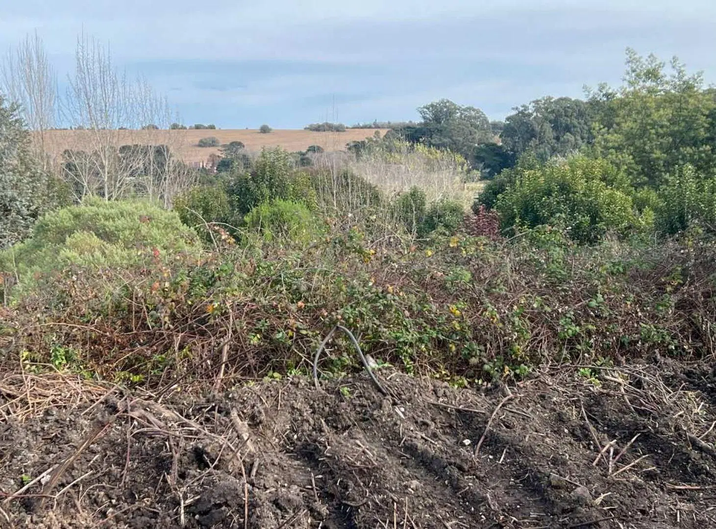VENTA LOTE 16 ZONA ALTA SIERRA DE LOS PADRES 3