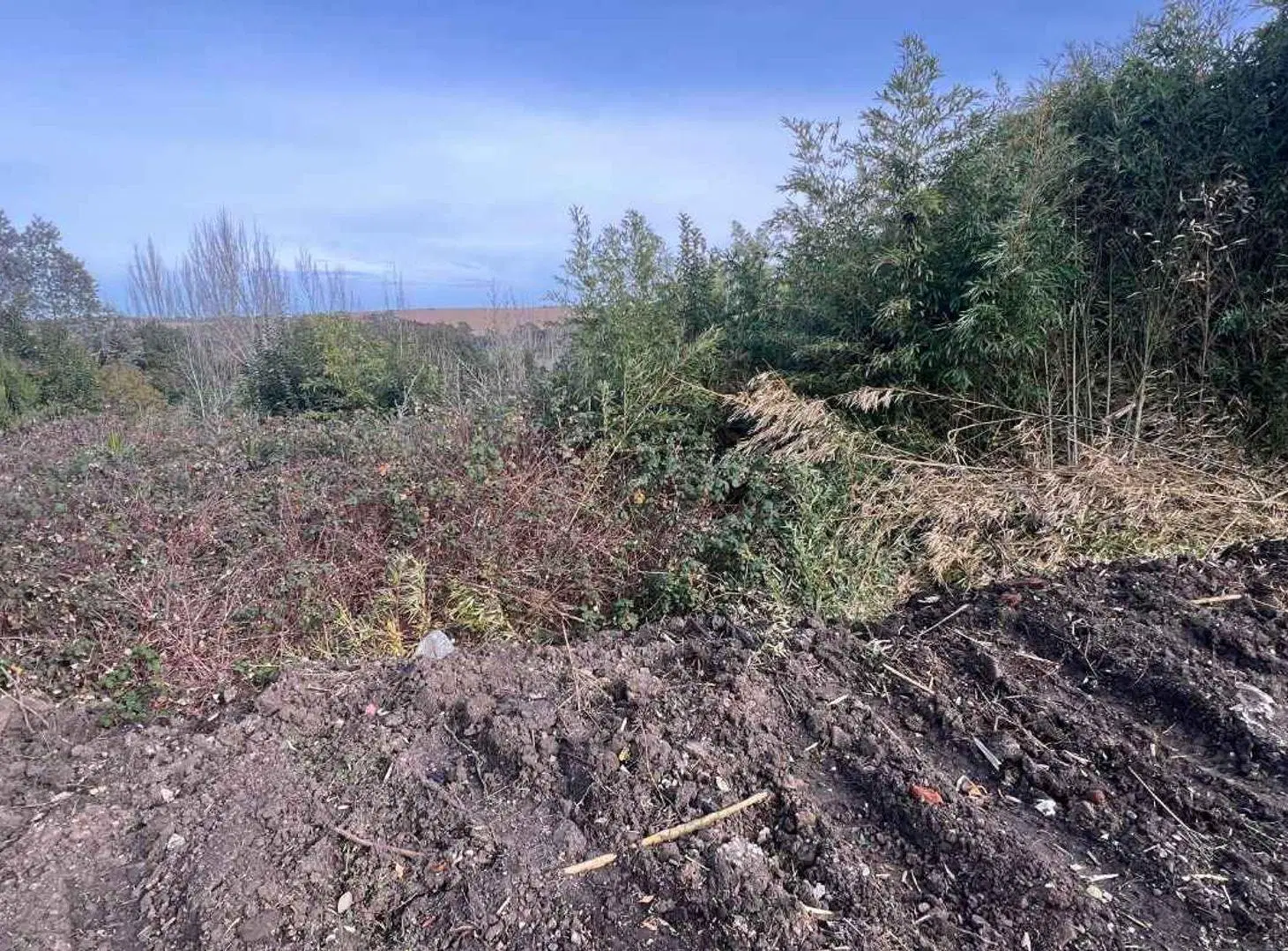 VENTA LOTE 16 ZONA ALTA SIERRA DE LOS PADRES 2
