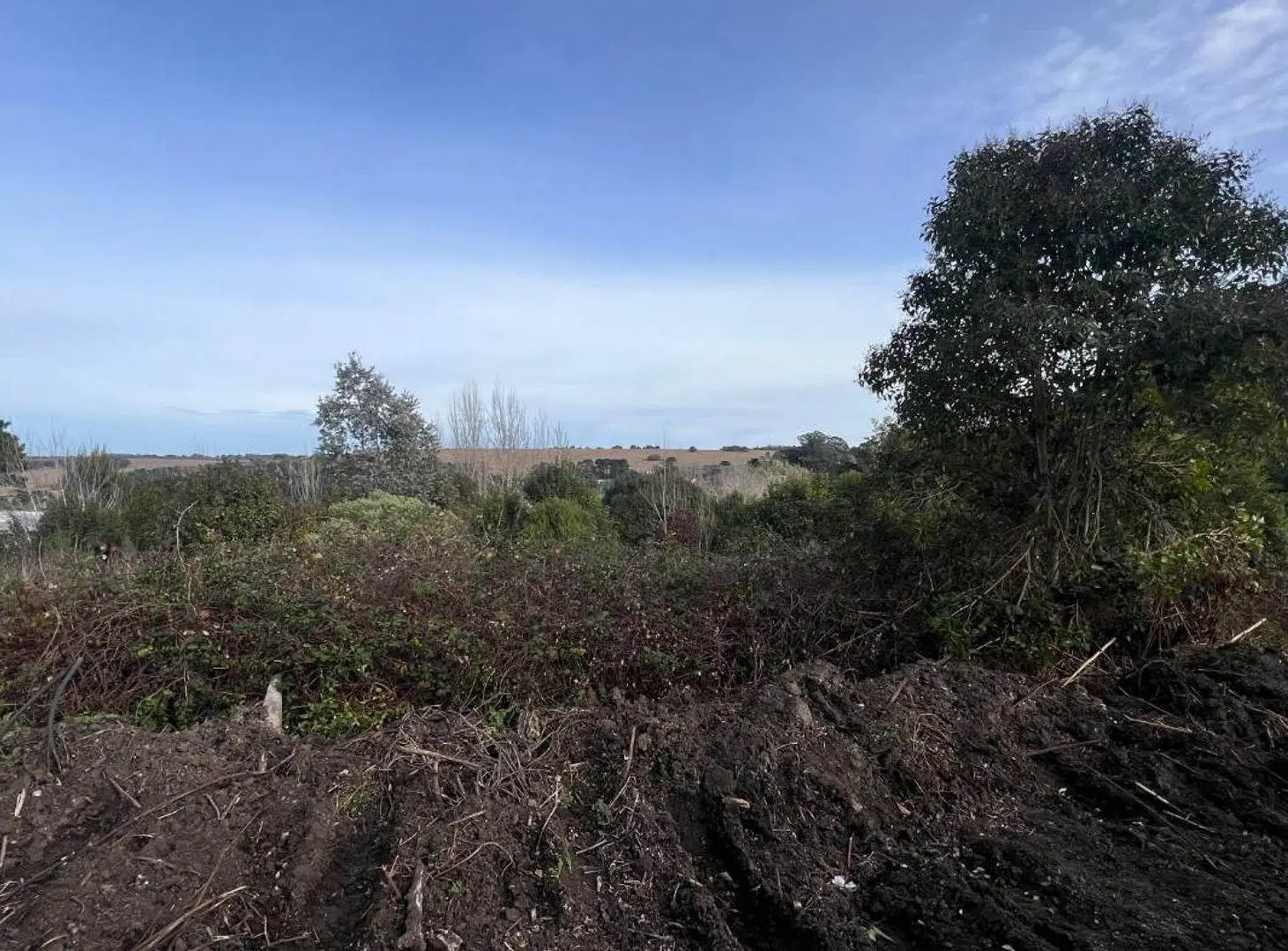 VENTA LOTE 17 ZONA ALTA SIERRA DE LOS PADRES 8