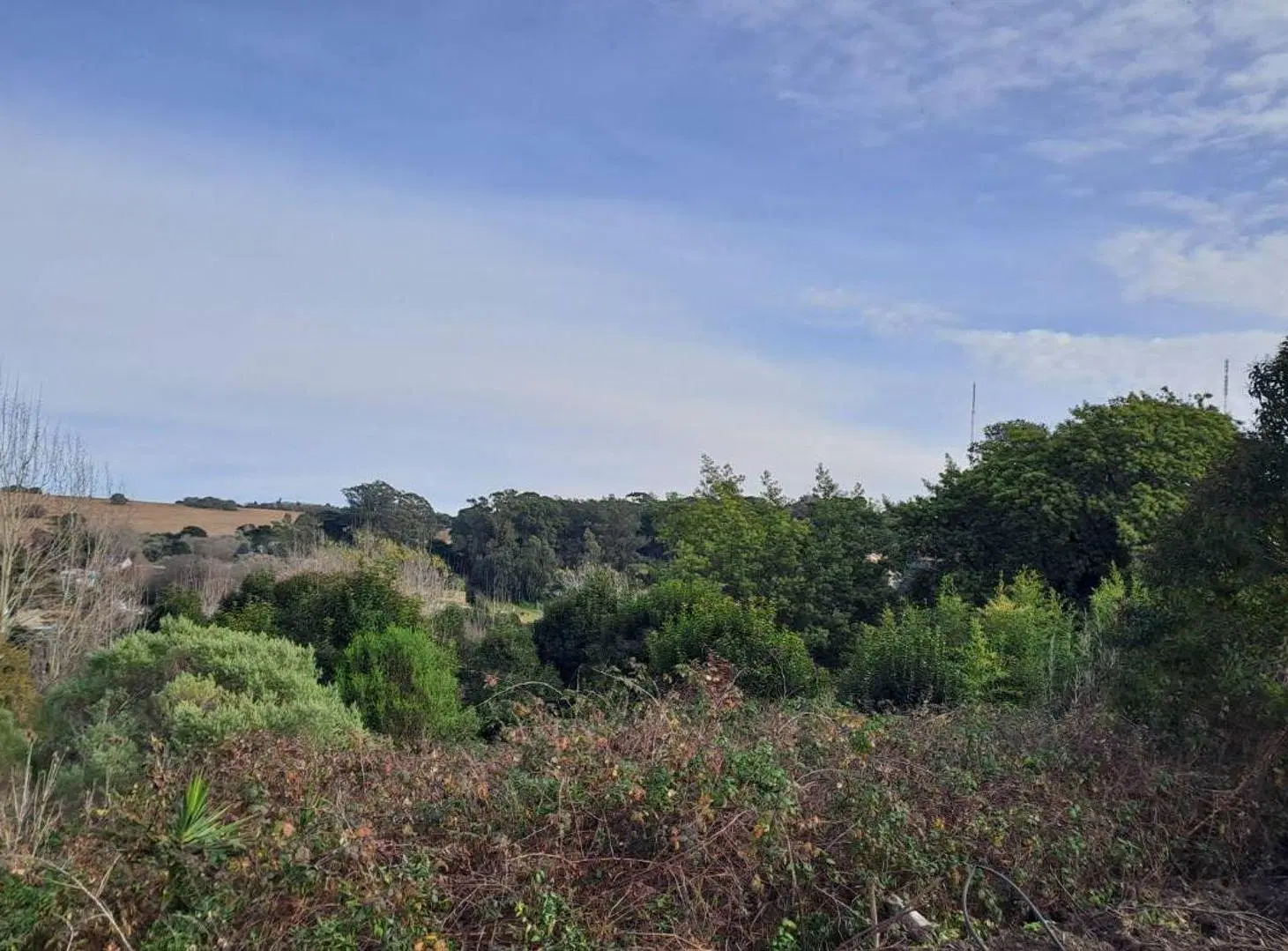 VENTA LOTE 17 ZONA ALTA SIERRA DE LOS PADRES 5