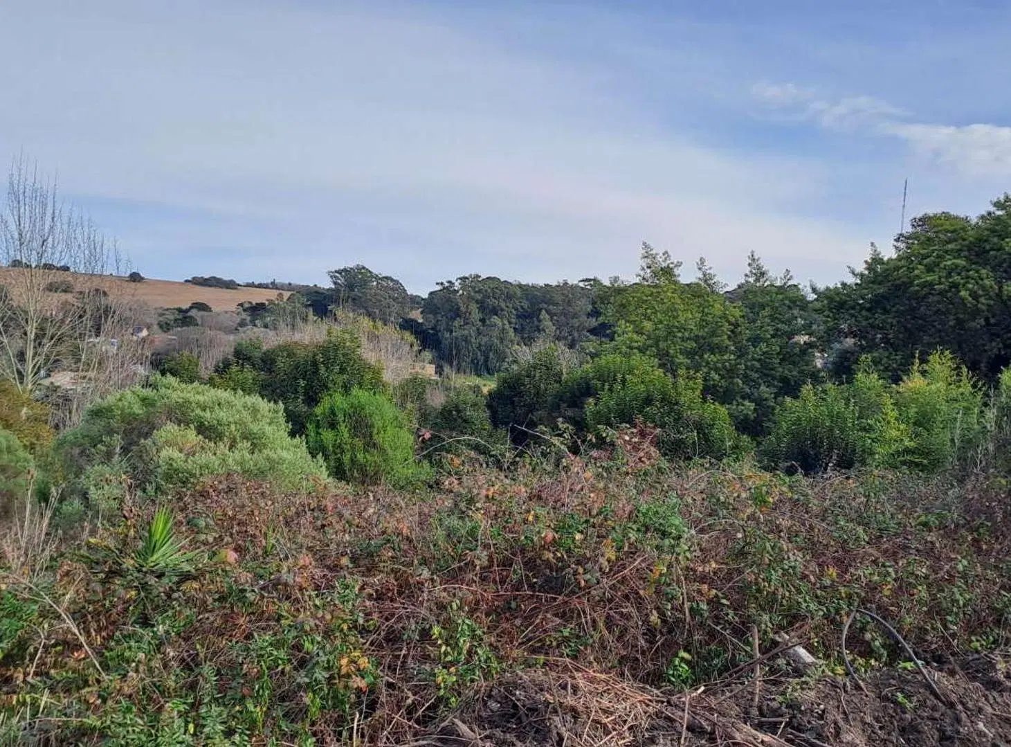 VENTA LOTE 17 ZONA ALTA SIERRA DE LOS PADRES 4