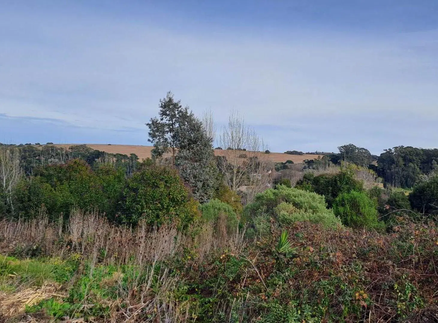 VENTA LOTE 17 ZONA ALTA SIERRA DE LOS PADRES 2