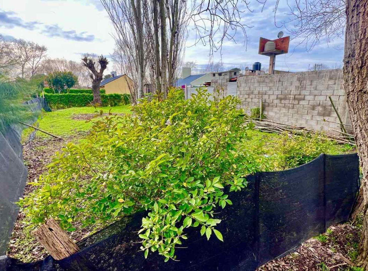 Foto de VENTA LOTE 211 M2 PLAYA SERENA SUR ELECTRICIDAD, imagen 2
