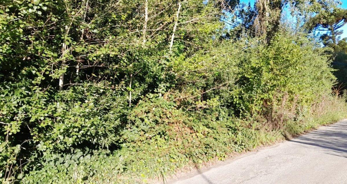 Foto de VENTA DE LOTE EN EL TEJADO, imagen 1
