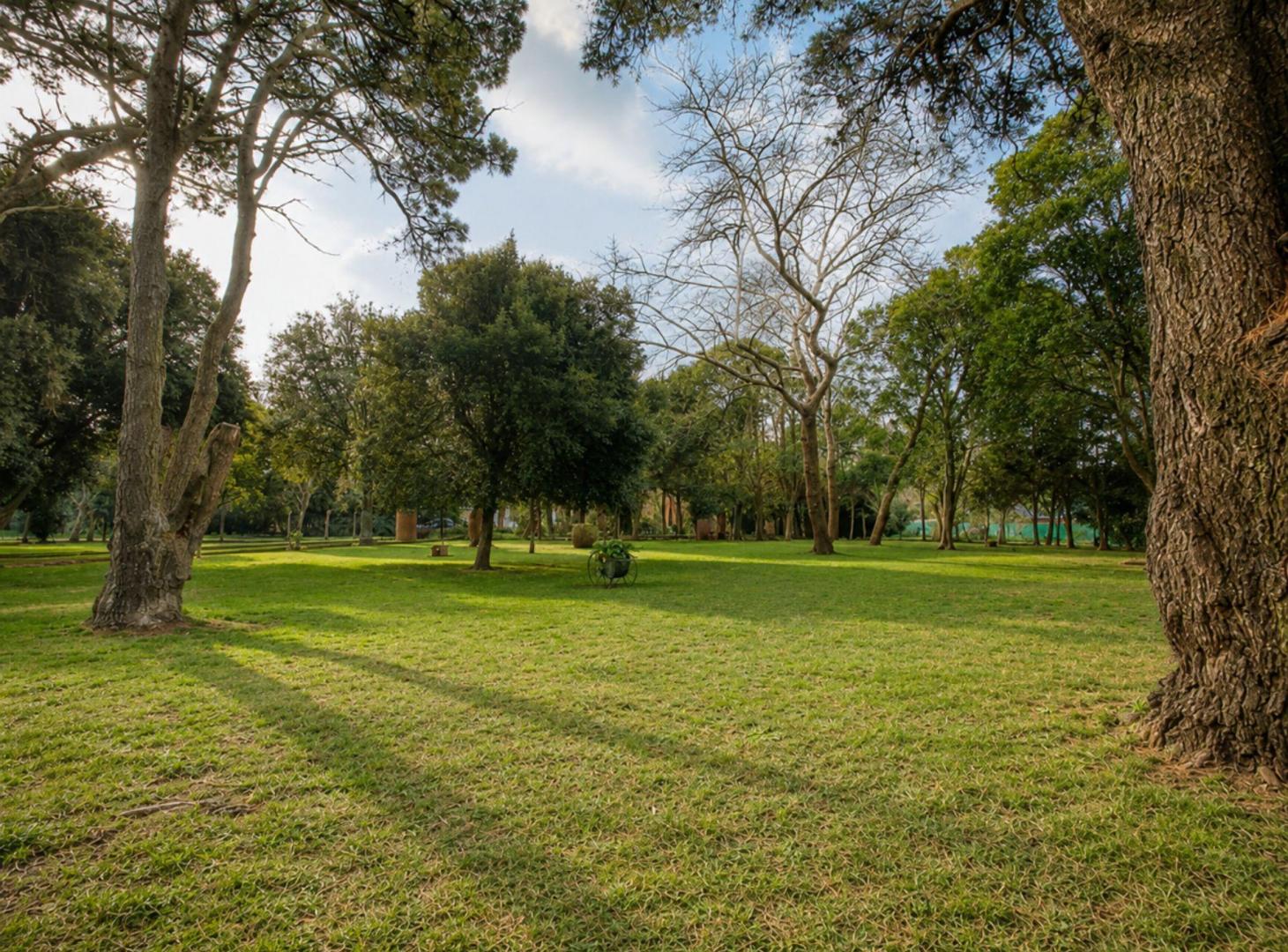 Foto de VENTA FINCA EN LOTE DE 3990 m2 EN COLINA ALEGRE, imagen 2