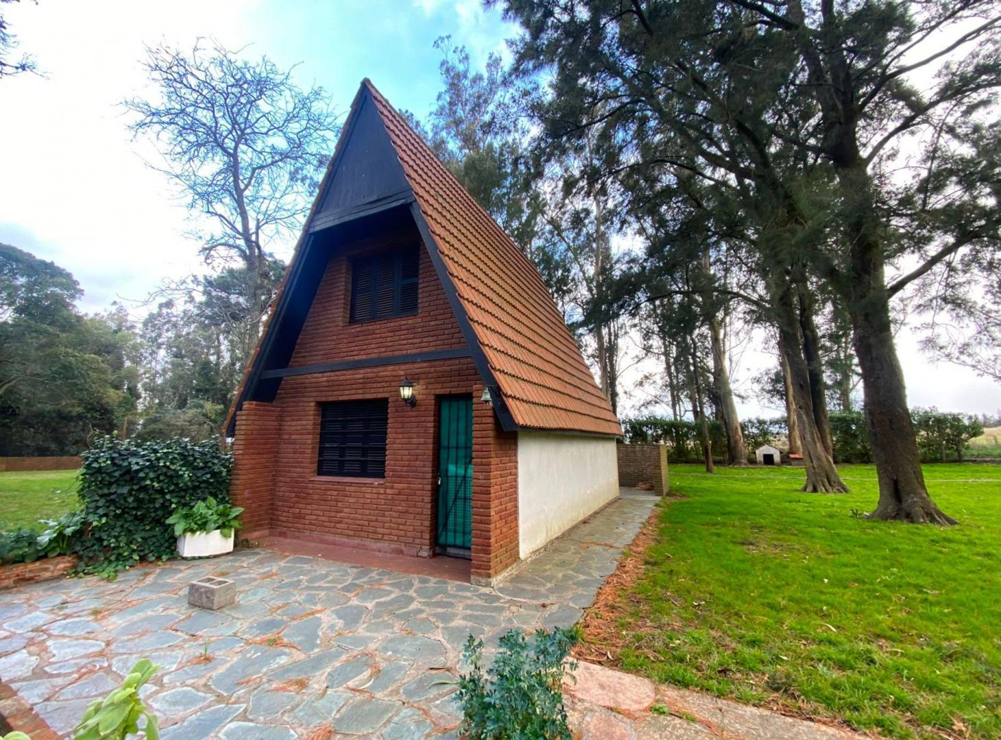 Foto de VENTA FINCA EN LOTE DE 3990 m2 EN COLINA ALEGRE, imagen 4
