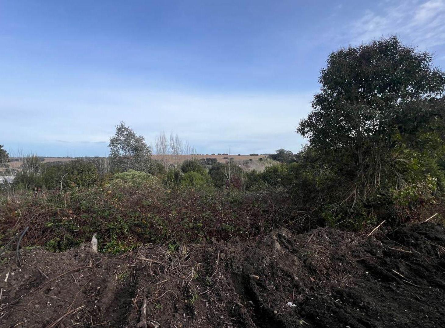Foto de VENTA LOTE 16 ZONA ALTA SIERRA DE LOS PADRES, imagen 2