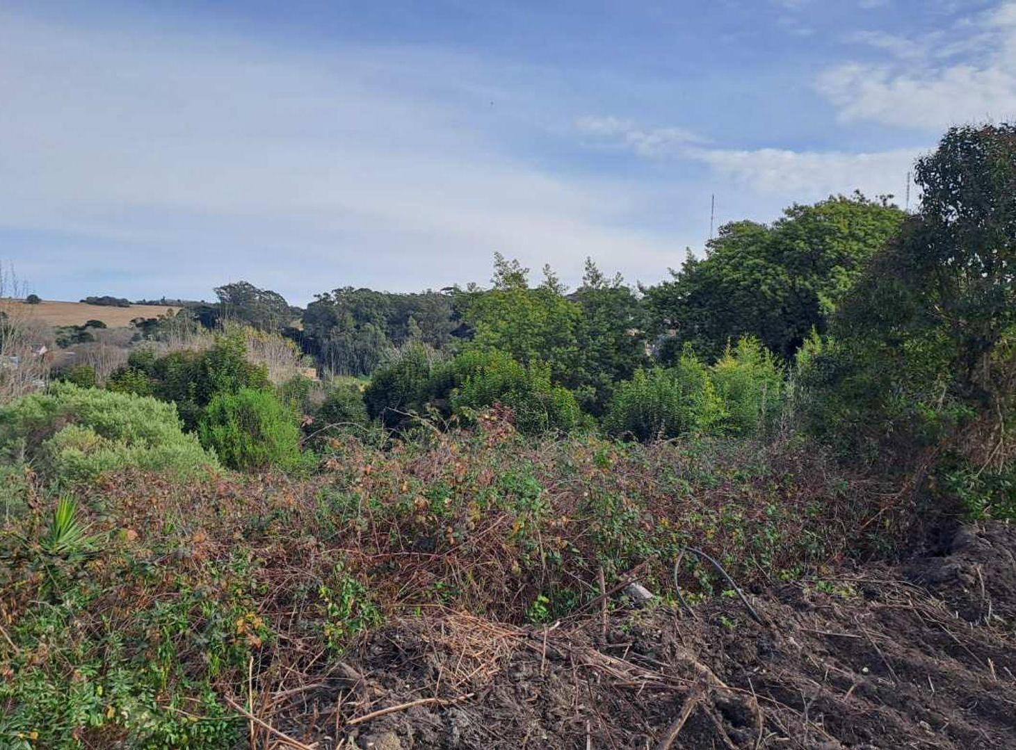 Foto de VENTA LOTE 17 ZONA ALTA SIERRA DE LOS PADRES, imagen 5