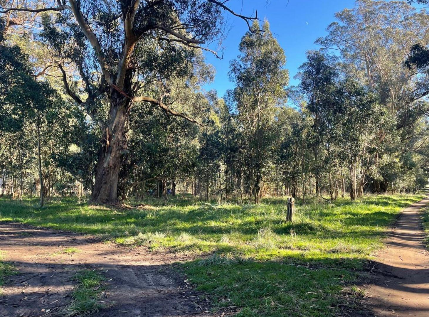 Foto de Venta lote de 311,20m2 en Parque Bristol, imagen 1