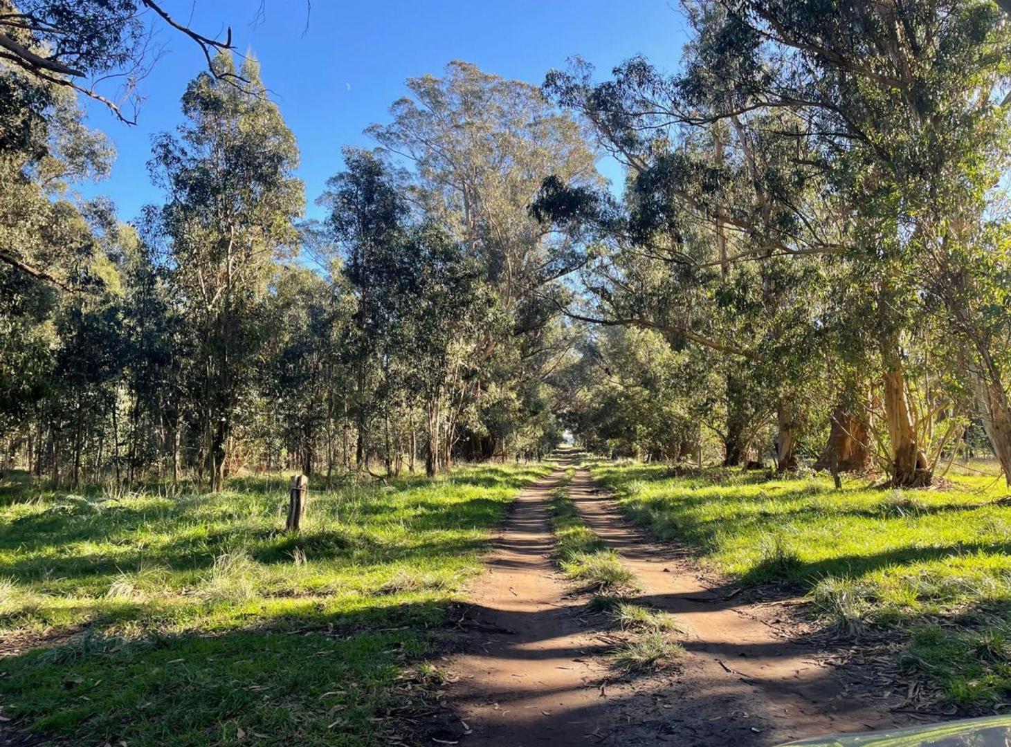Foto de Venta lote de 311,20m2 en Parque Bristol, imagen 2
