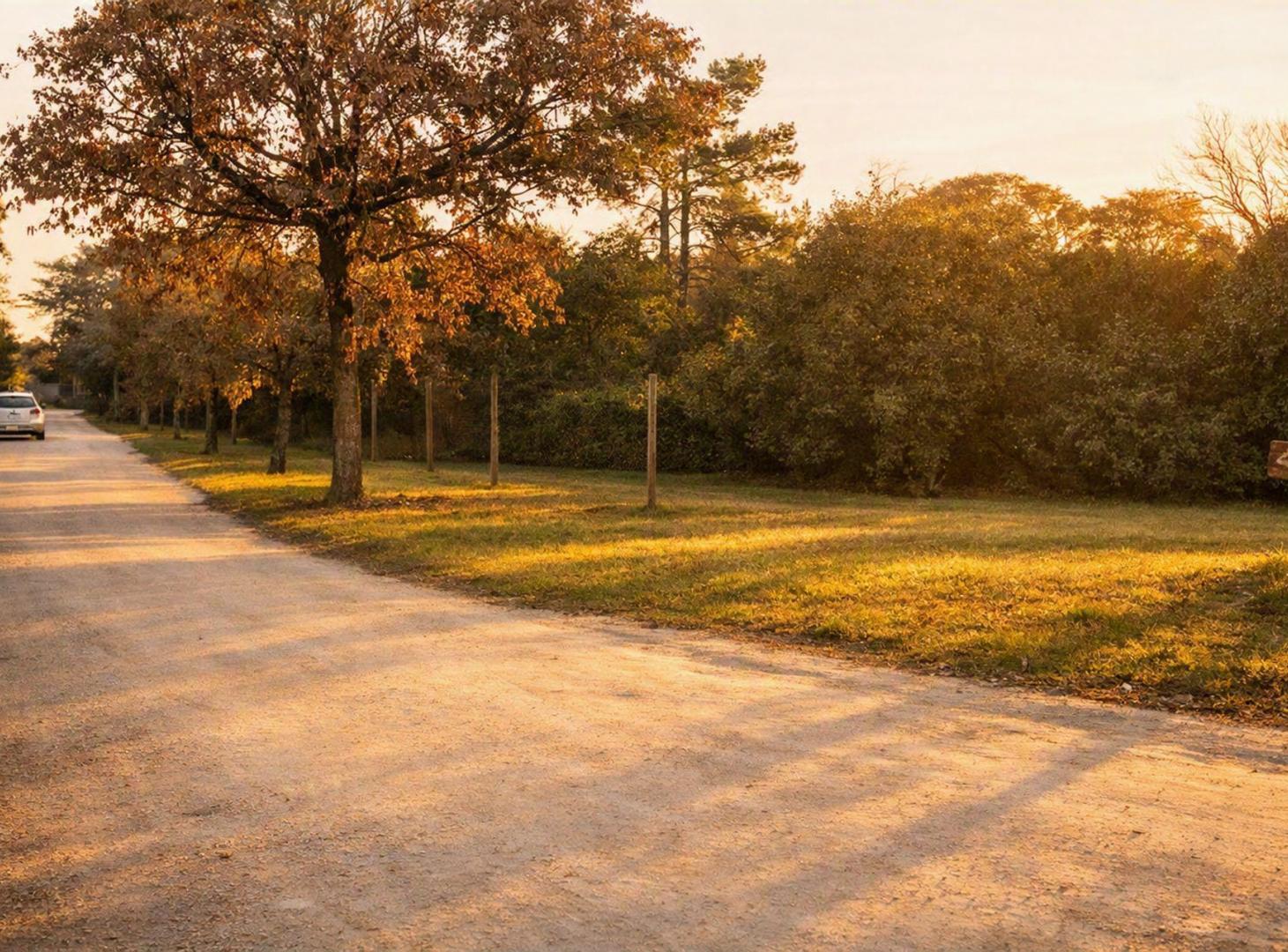 Foto de Venta Lote ubicado en la mejor zona de Colinalegre, imagen 1