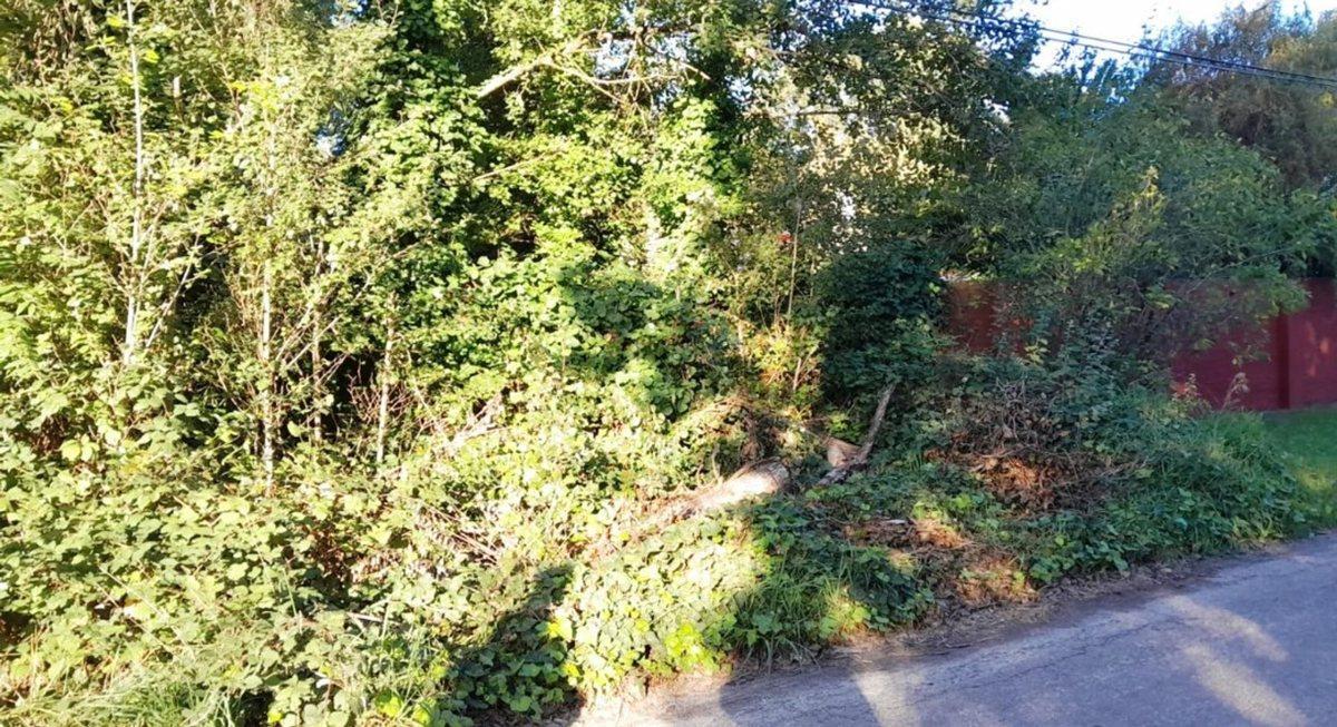 Foto de VENTA DE LOTE EN EL TEJADO, imagen 2