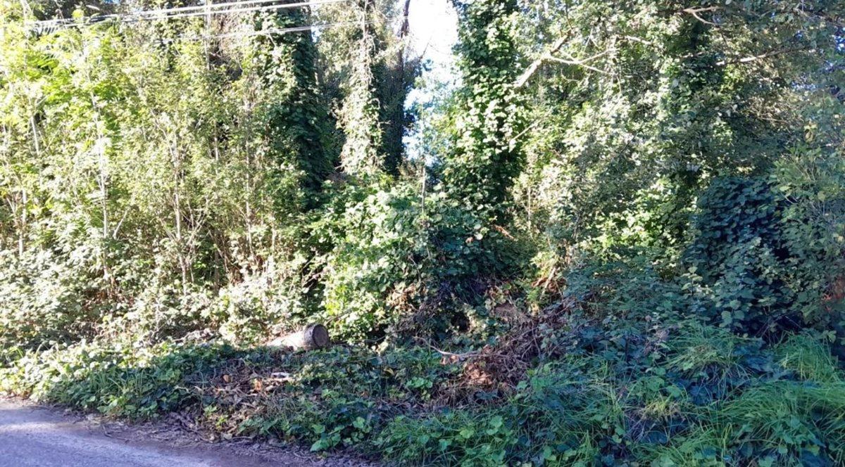 Foto de VENTA DE LOTE EN EL TEJADO, imagen 1