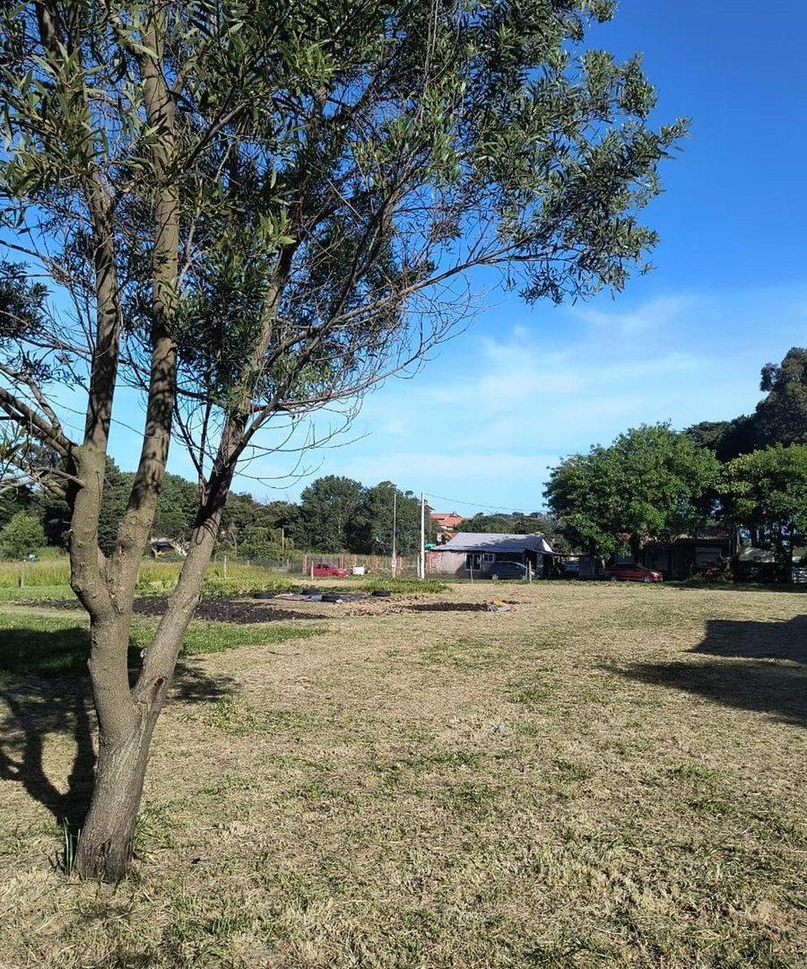 VENTA DOS LOTES EN SANTA ISABEL