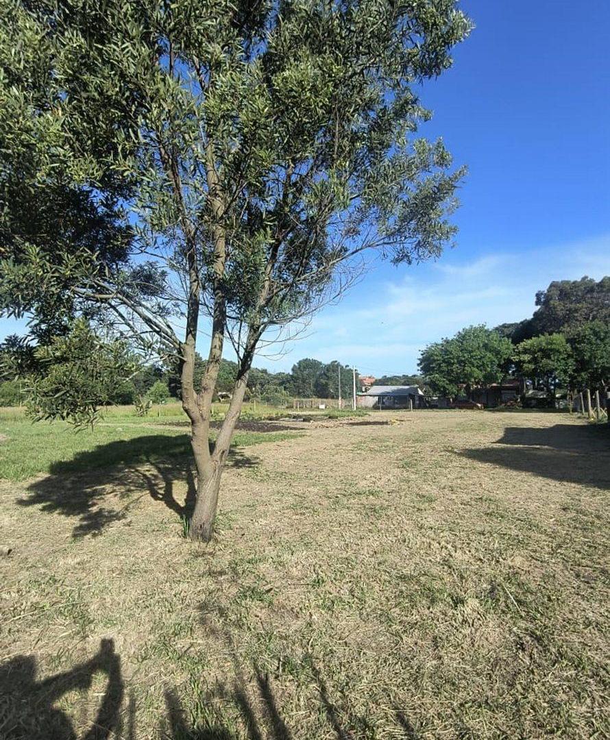 Foto de VENTA DOS LOTES EN SANTA ISABEL, imagen 2