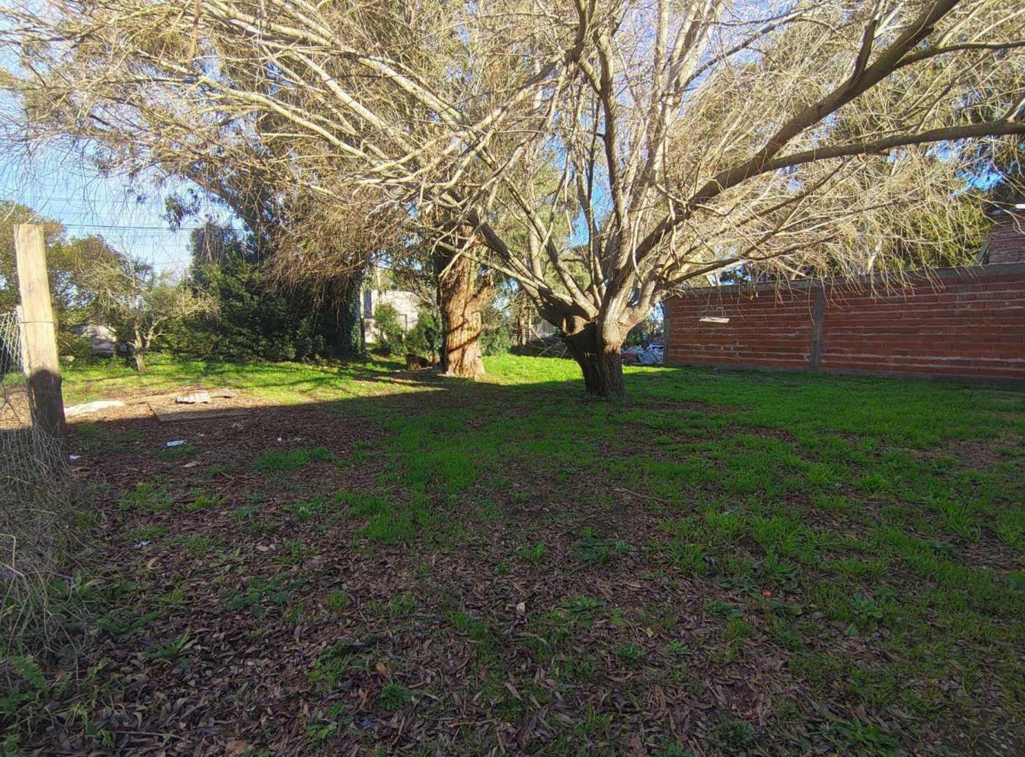 Foto de VENTA TERRENO LOTE BARRIO FELIX U CAMET, imagen 5