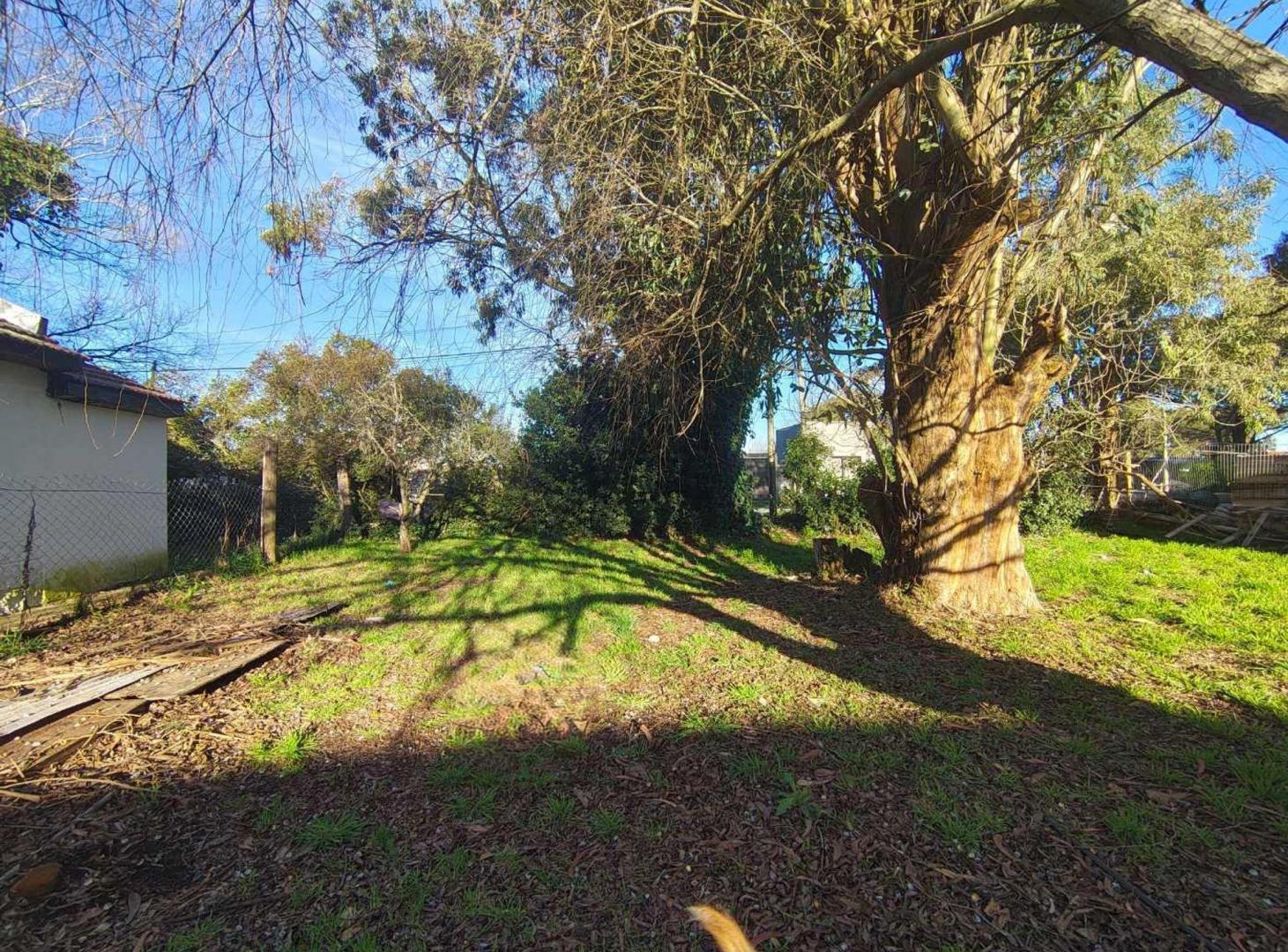 Foto de VENTA TERRENO LOTE BARRIO FELIX U CAMET, imagen 3