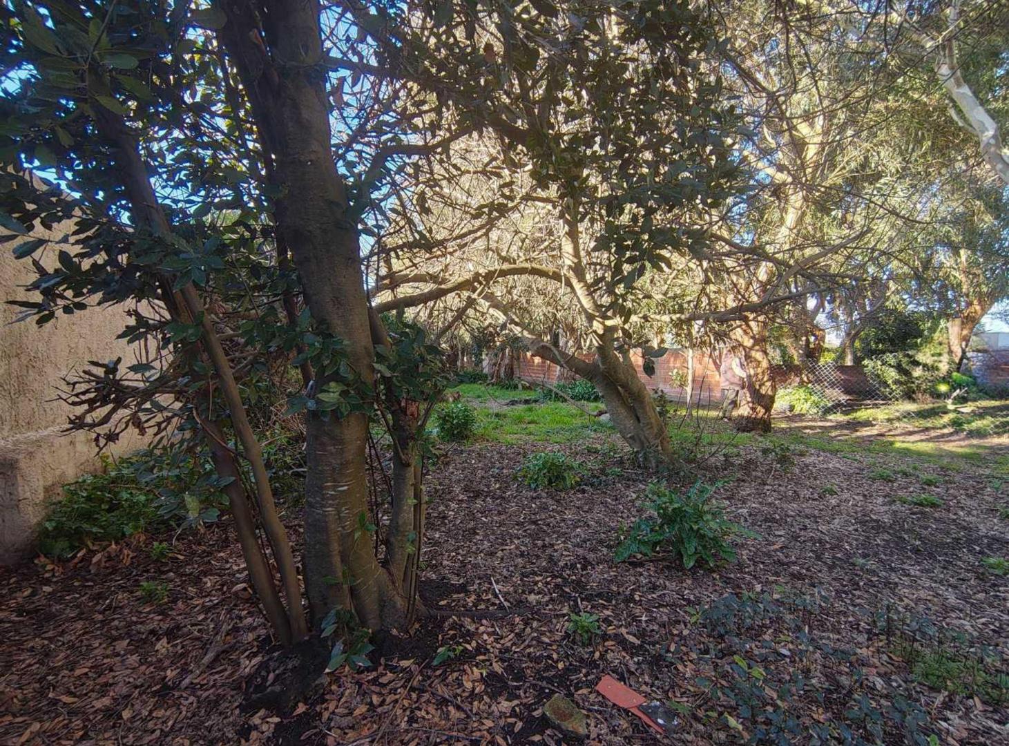 Foto de VENTA LOTE TERRENO BARRIO FELIX U CAMET, imagen 2