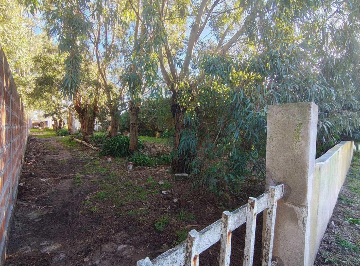 Foto de VENTA LOTE TERRENO BARRIO FELIX U CAMET, imagen 3