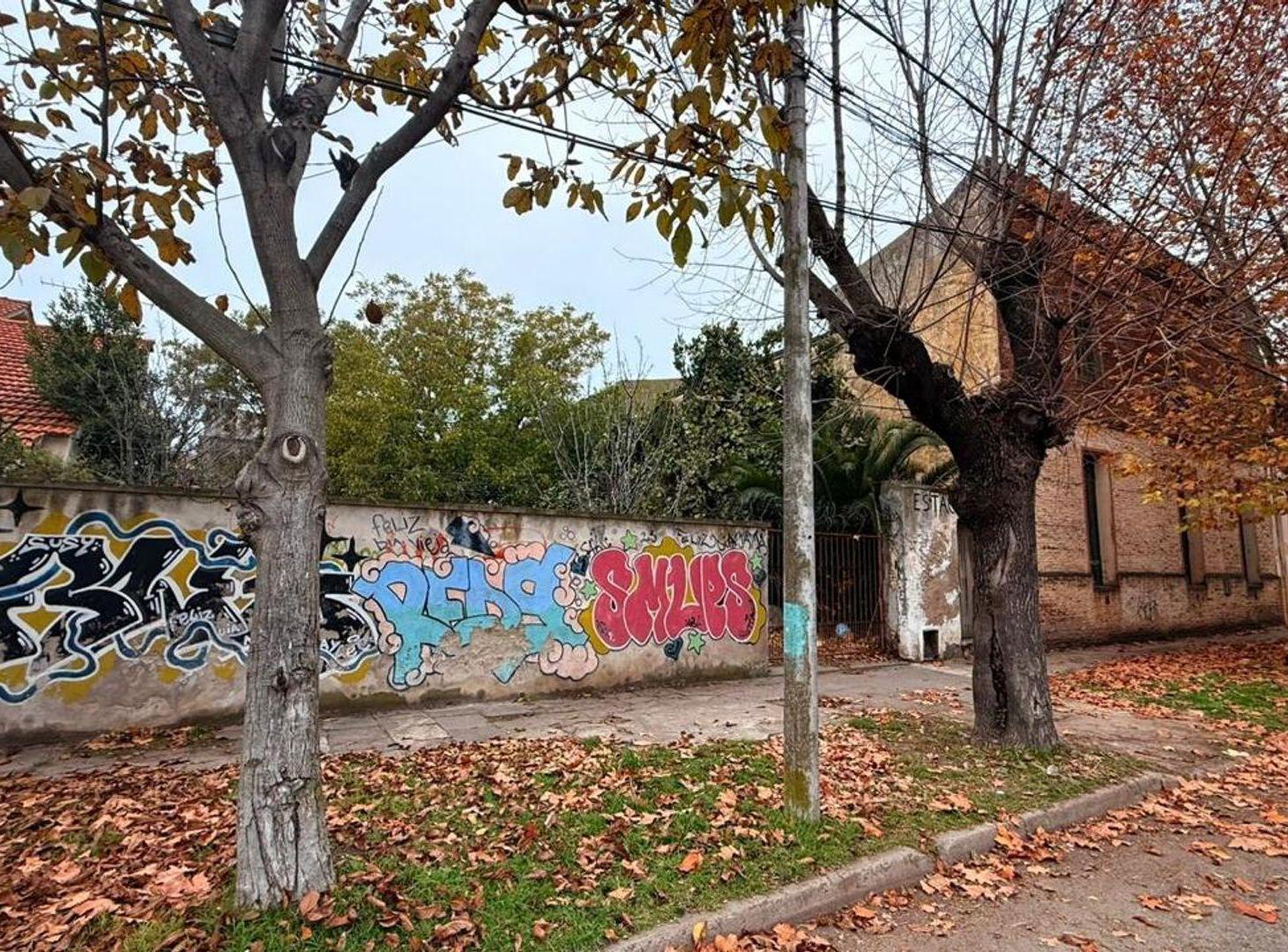 Foto de VENTA TERRENO 1.500 METROS MIRAMAR CENTRO, imagen 4