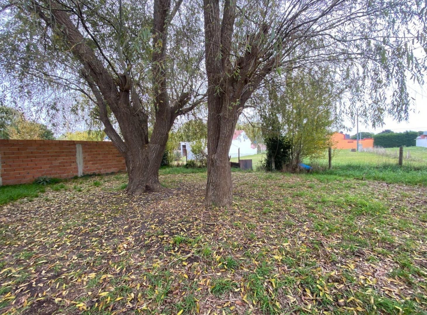 Foto de VENTA CASA A RECICLAR EN 2 LOTES EN SANTA CLARA, imagen 3