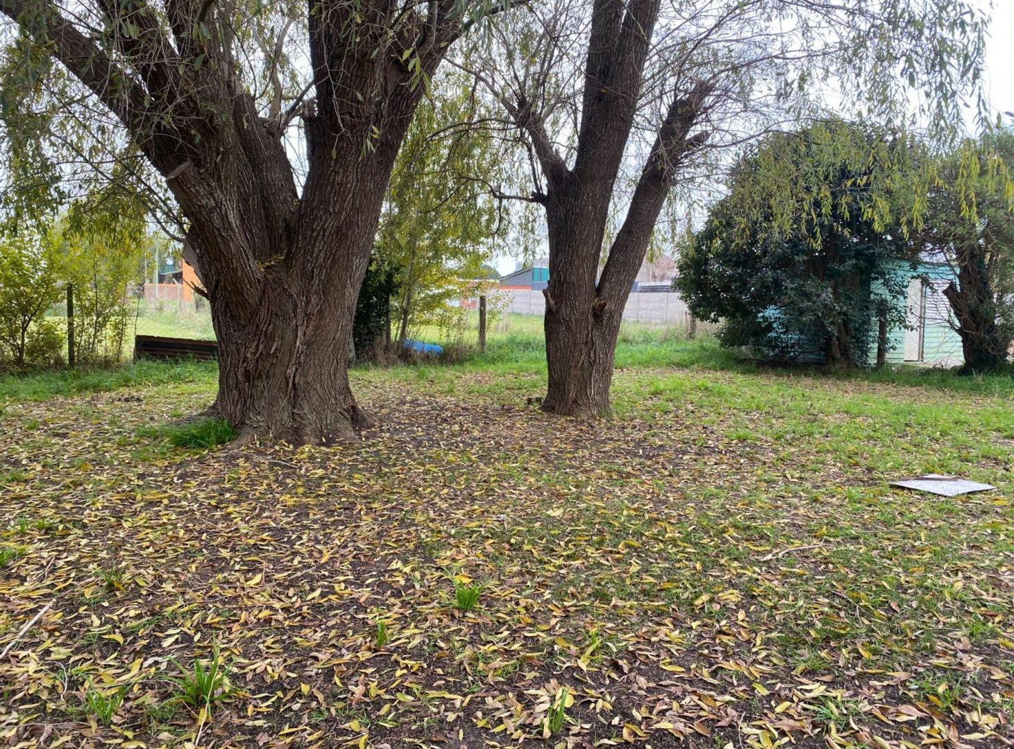 Foto de VENTA CASA A RECICLAR EN 2 LOTES EN SANTA CLARA, imagen 2